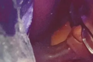 ❗2NUTS SPECIAL+ 🍃BLUNTS❗, QV D... - Image 3