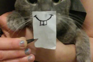 INCALL/OUTCALLL IN DELCO/PHILL... - Image 2